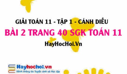 Giải bài 2 trang 40 Toán 11 tập 1 SGK Cánh Diều